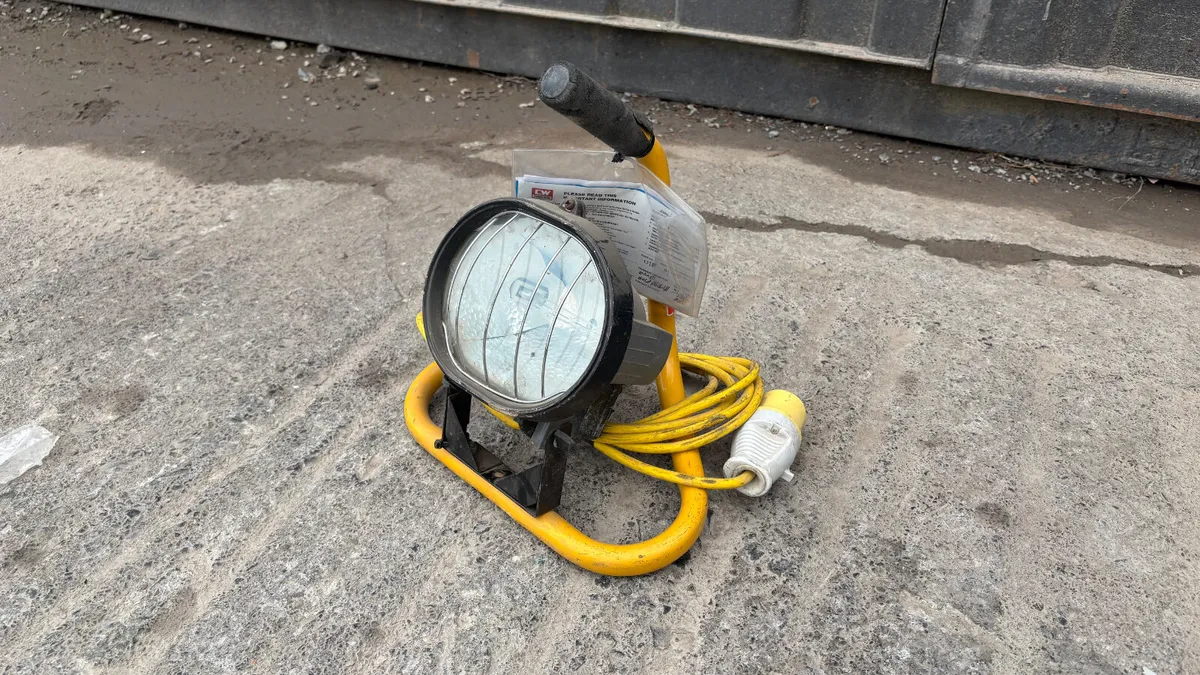 110V Light - Image 1