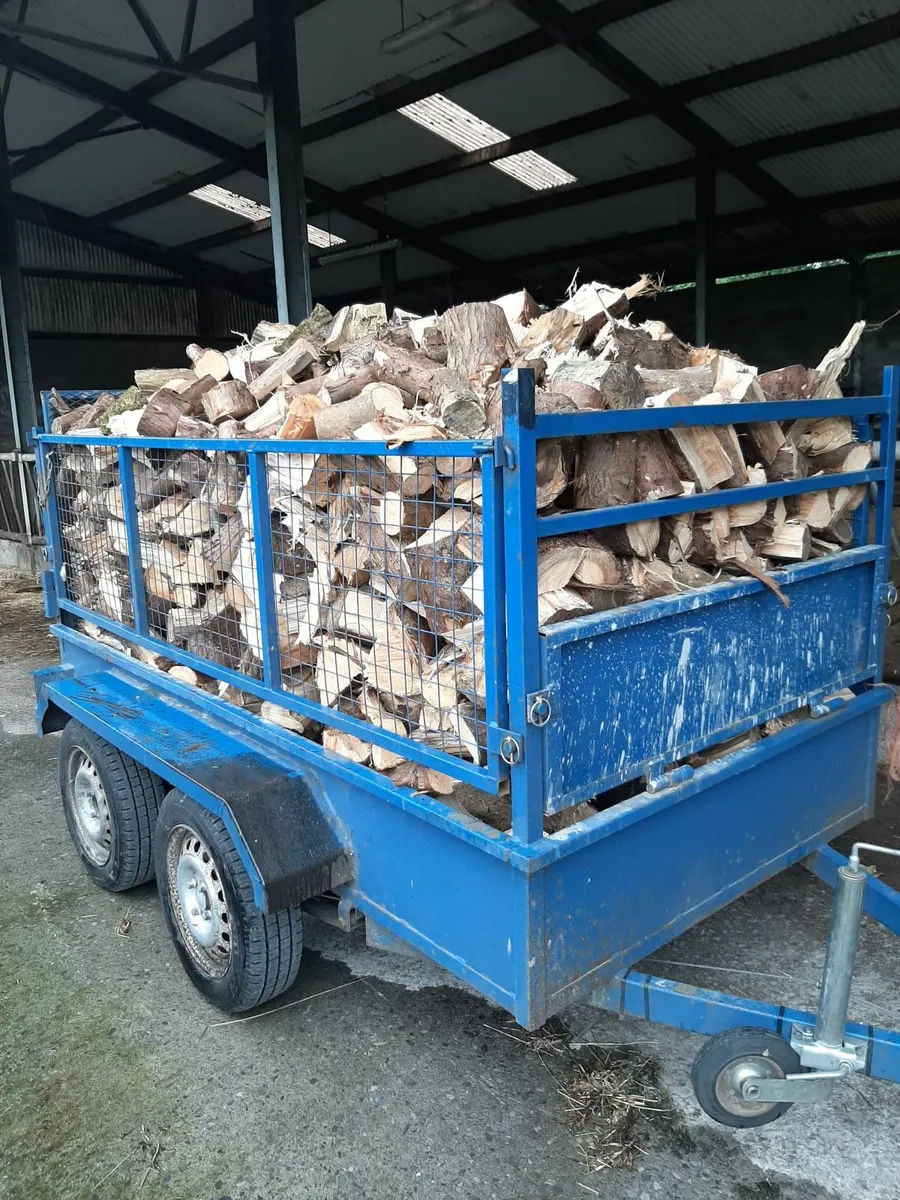 Timber for Sale - Image 1