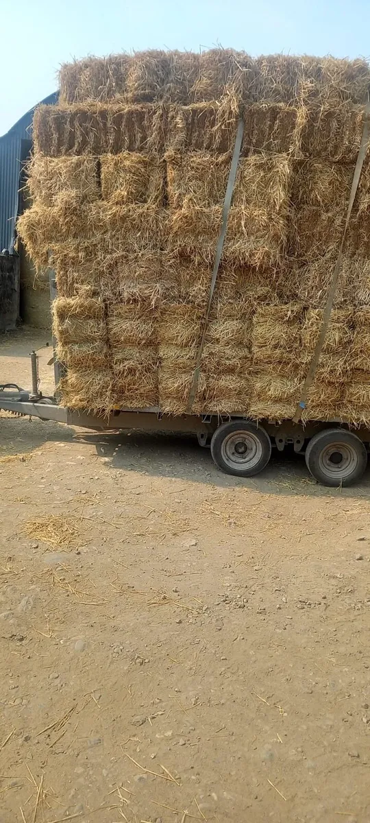 Small square straw&hay bales - Image 2