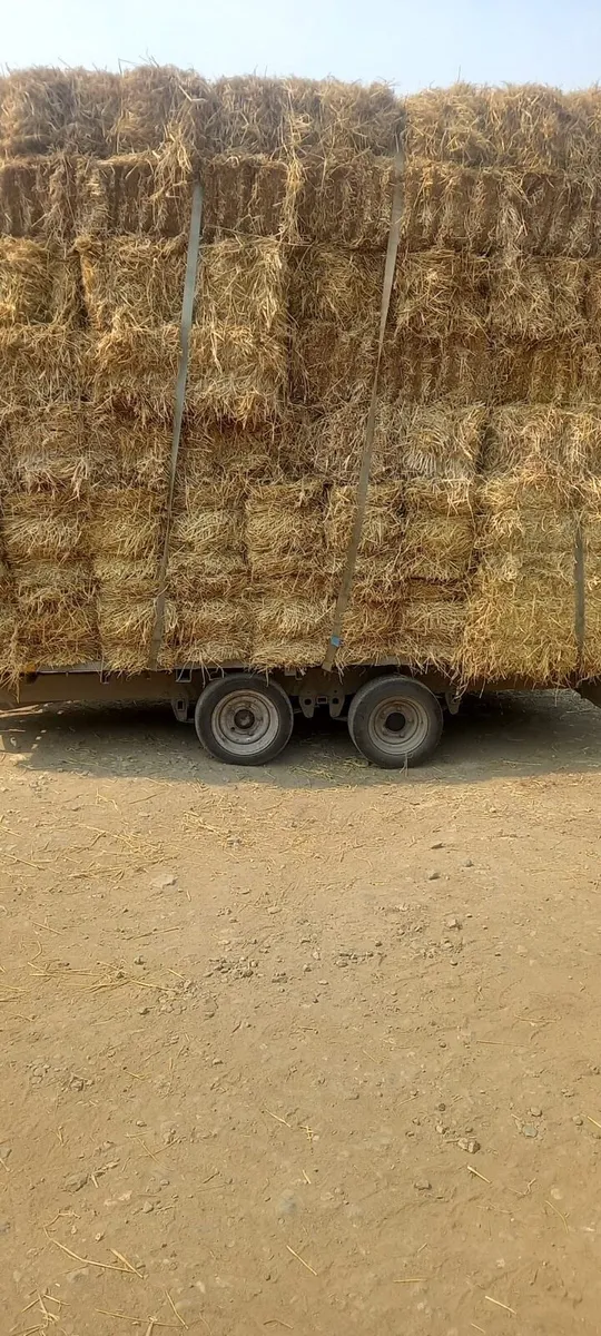 Small square straw&hay bales - Image 3