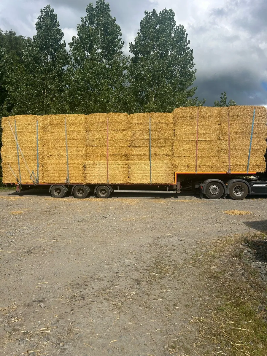 ➖STRAW ➖ - Image 2