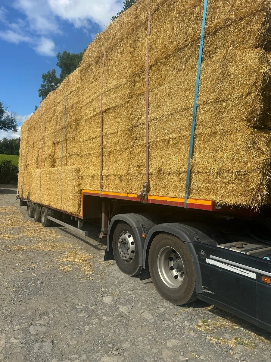 ➖STRAW ➖ - Image 1