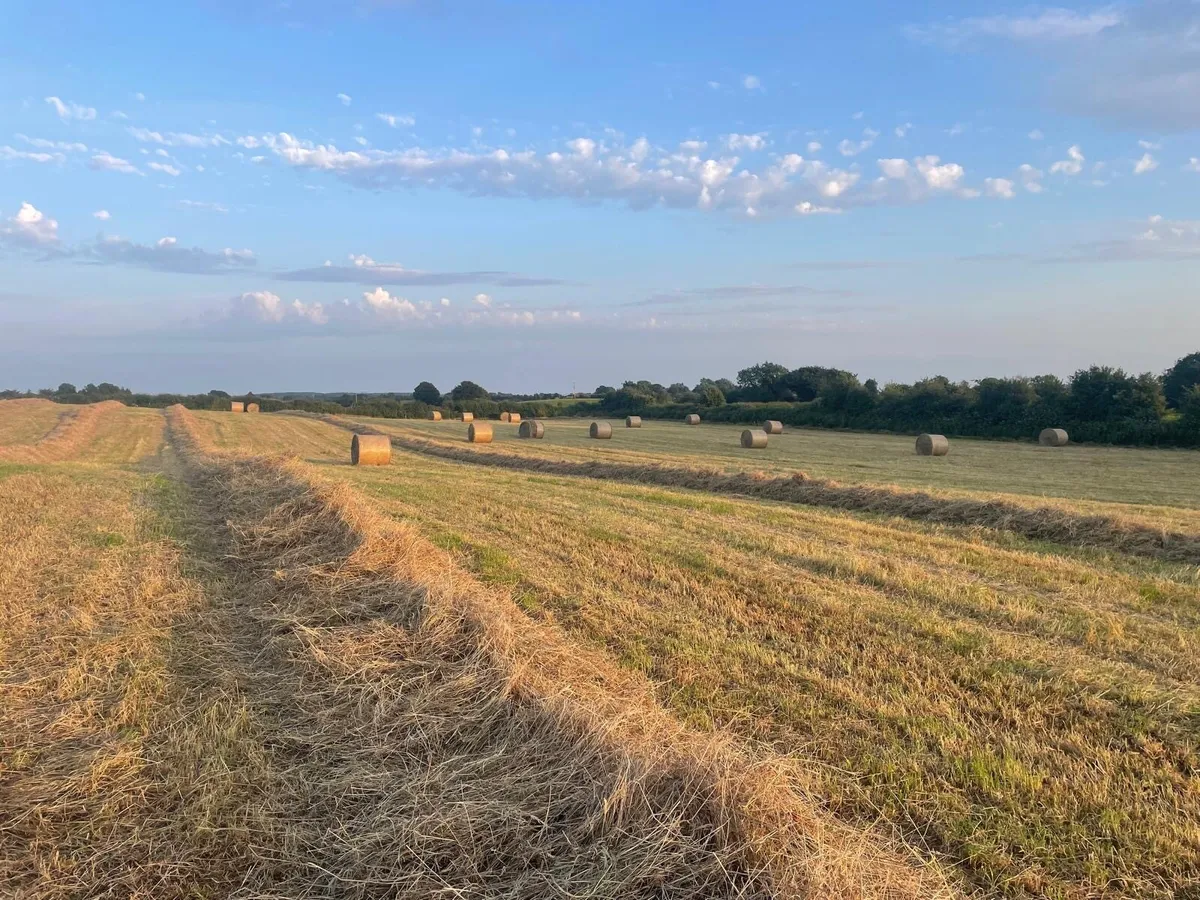 ✳️Top Quality June 25 Hay and Haylage for Sale✳️ - Image 3