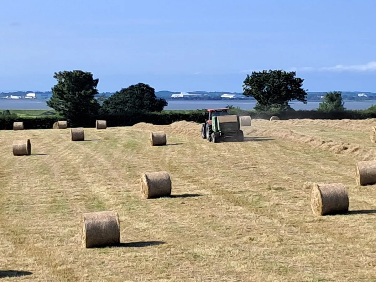 ✳️Top Quality June 25 Hay and Haylage for Sale✳️ - Image 4