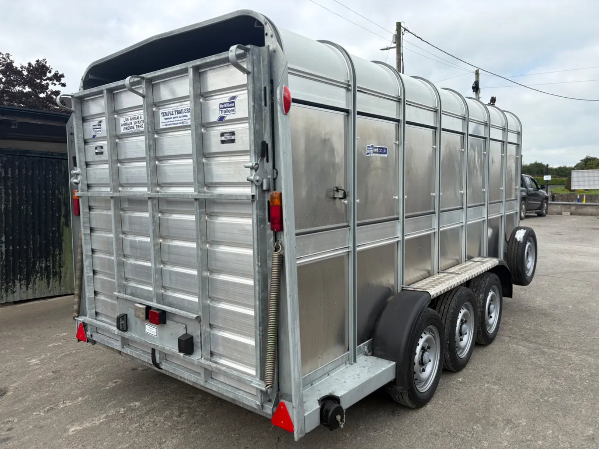 Ifor Williams 14x6 Tri-Axle Cattle Trailer - Image 2