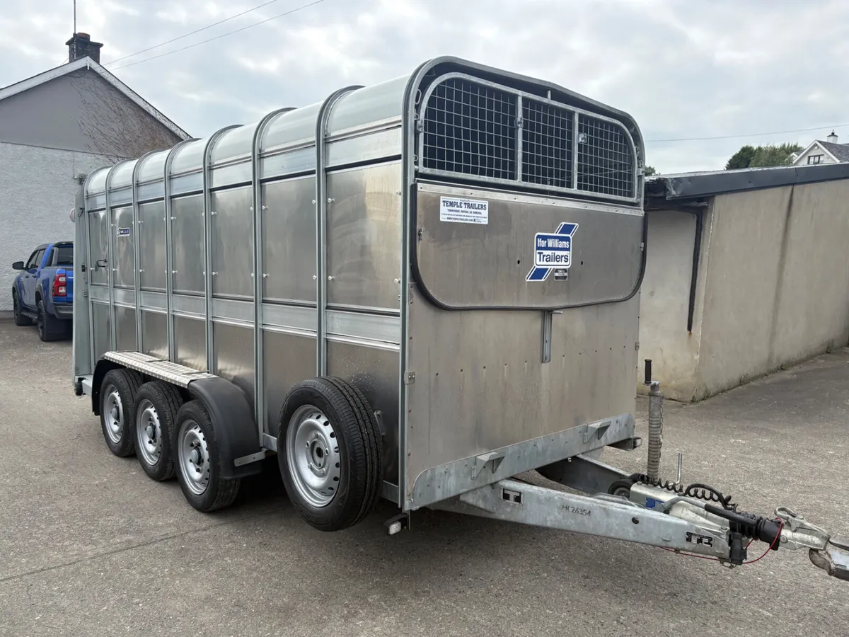 Ifor Williams 14x6 Tri-Axle Cattle Trailer - Image 1