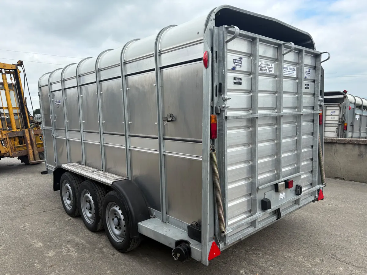 Ifor Williams 14x6 Tri-Axle Cattle Trailer - Image 3
