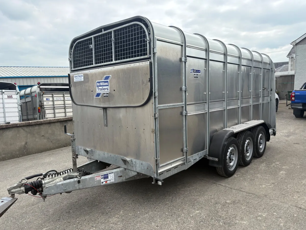 Ifor Williams 14x6 Tri-Axle Cattle Trailer - Image 4