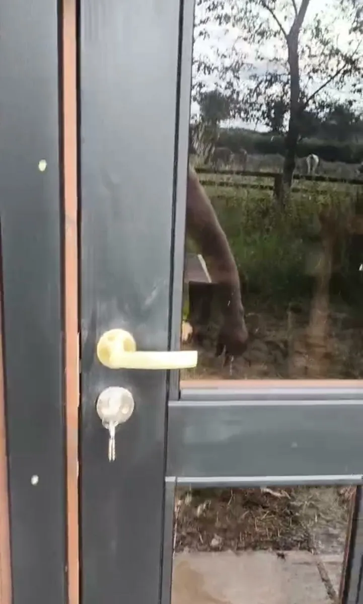 Barrel sauna/hot 🔥 tub - Image 3