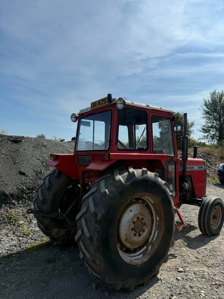 Massey 265 - Image 3