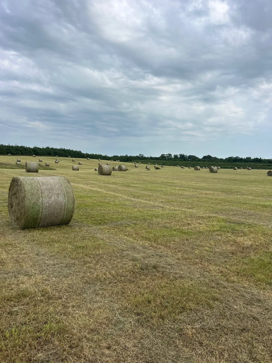 Hay for sale - Image 1