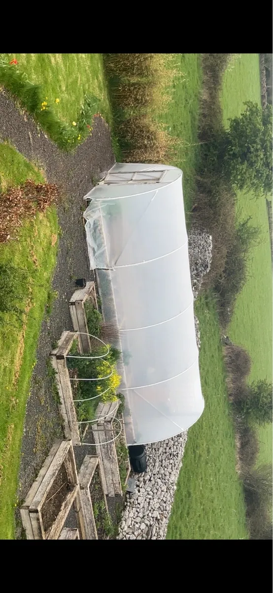 Poly Tunnel - Image 3