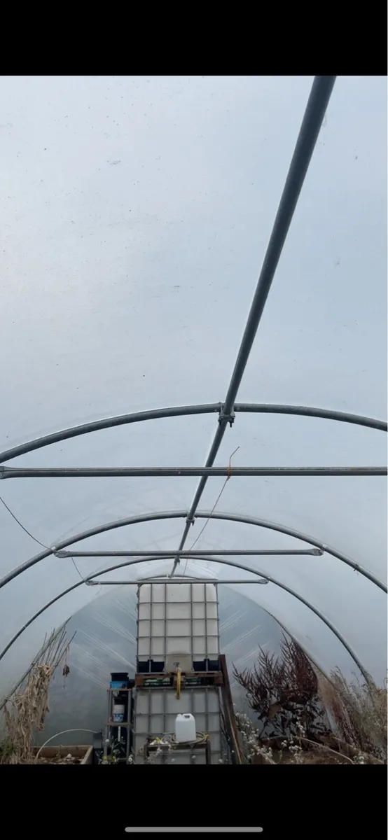 Poly Tunnel - Image 4