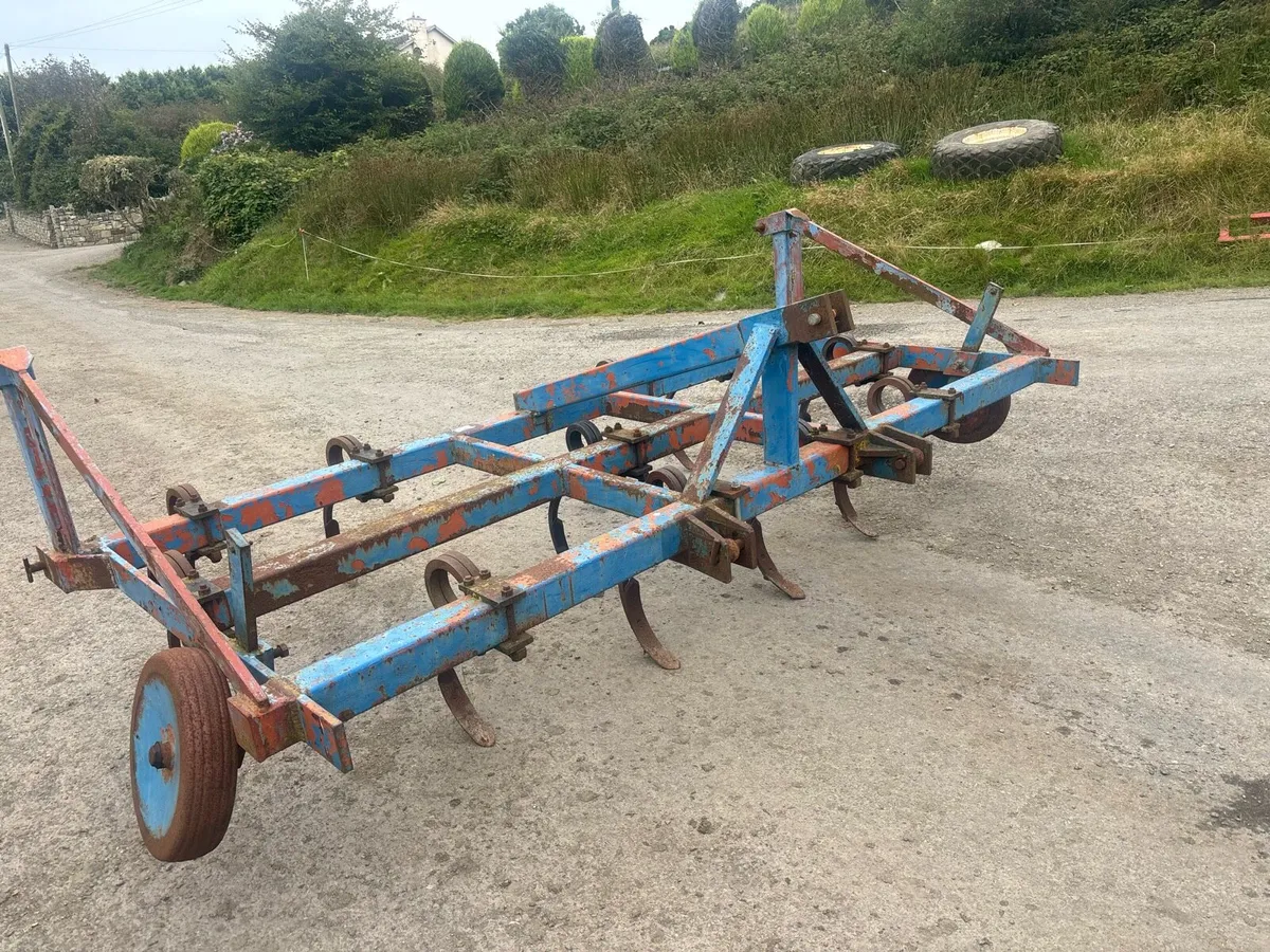 Pig tail Grubber - Image 2