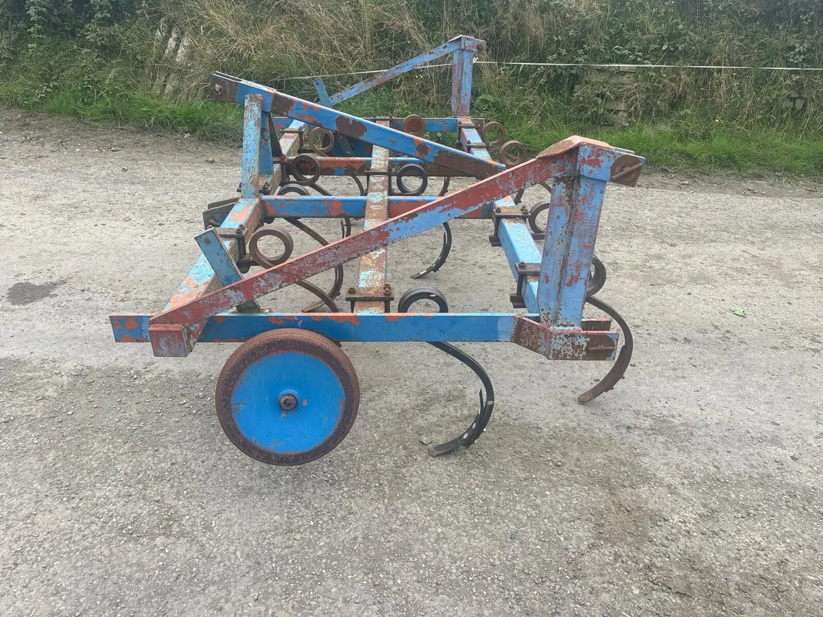 Pig tail Grubber - Image 4