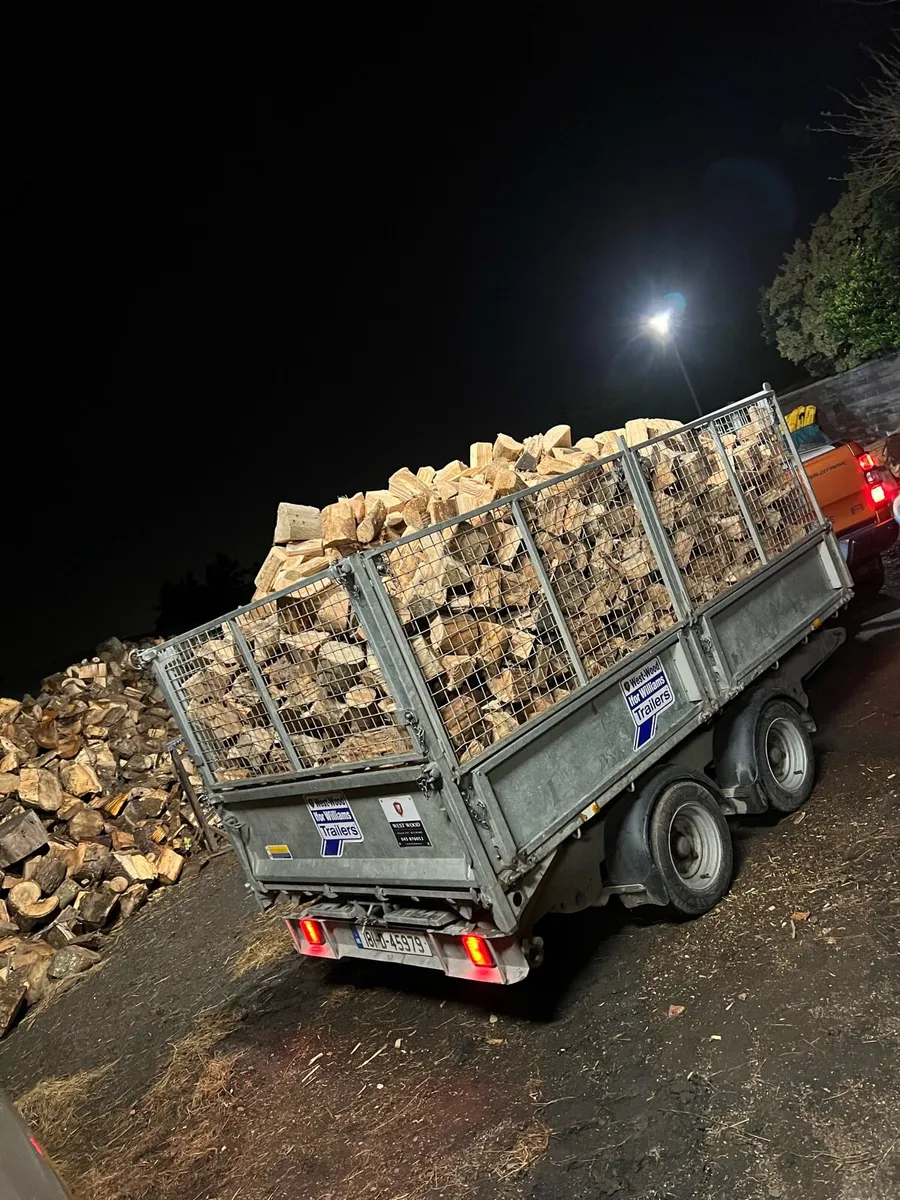 Dry Firewood - Image 4