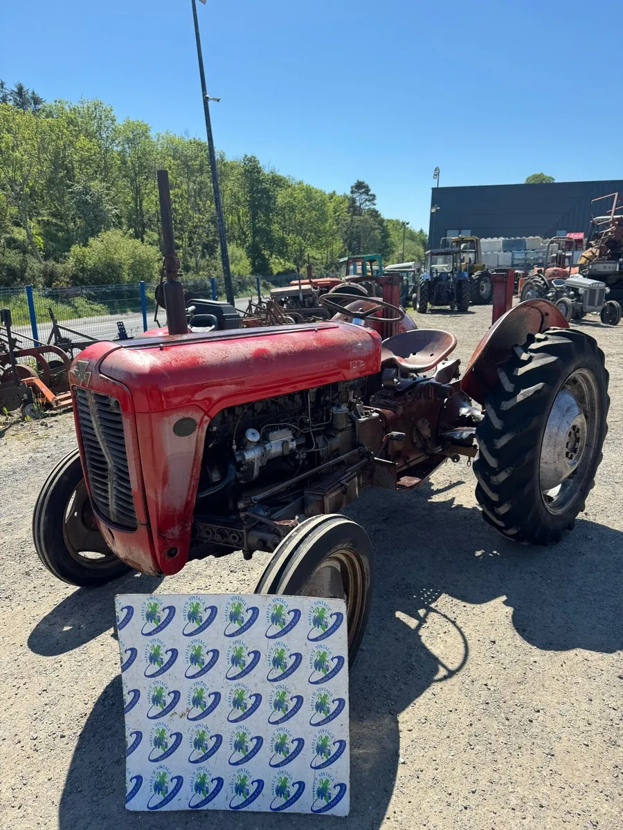 Massey Ferguson FE35 4 Cylinder - Image 1