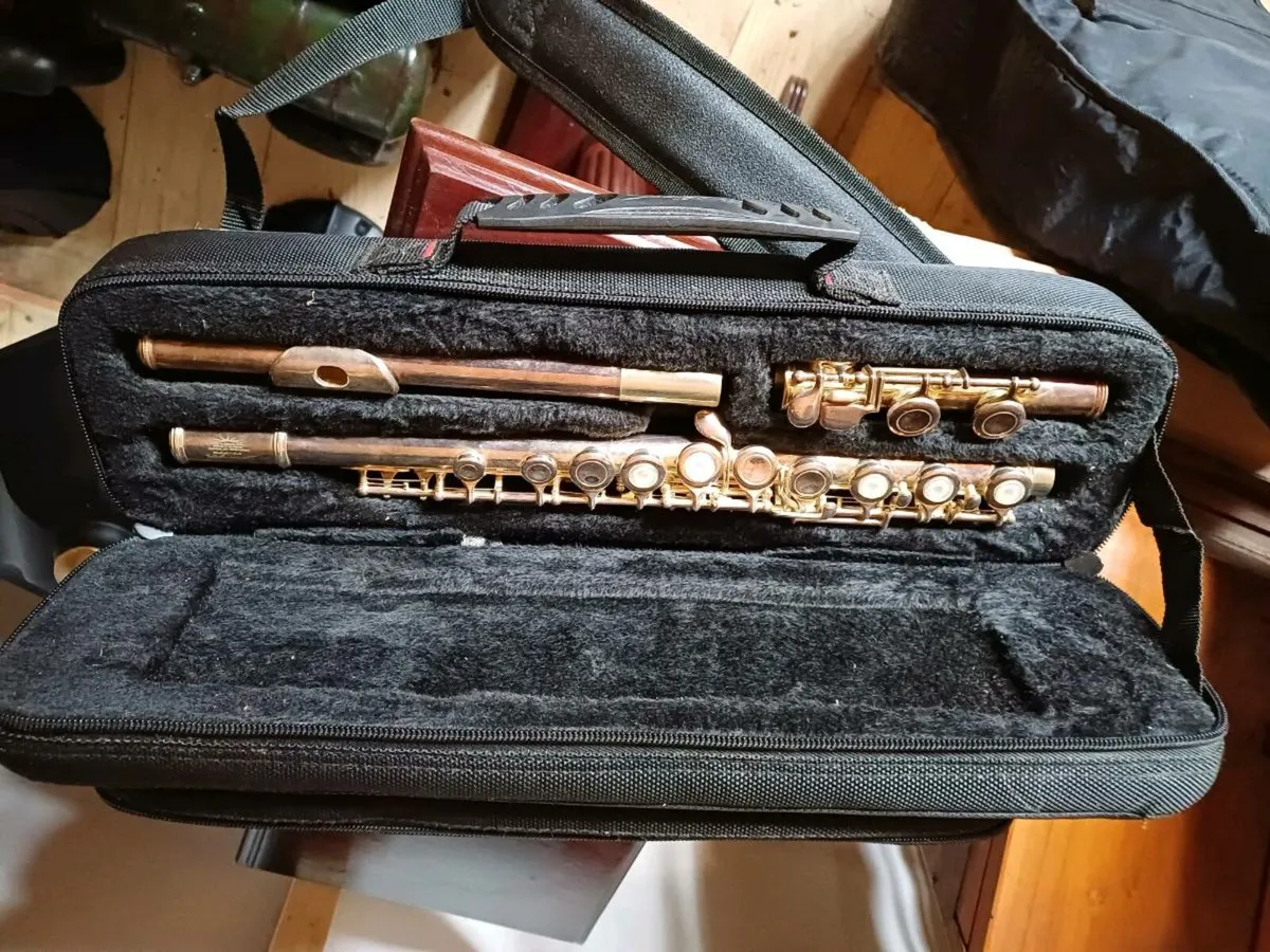 Vintage Stagg 77FFE Flute - Image 1