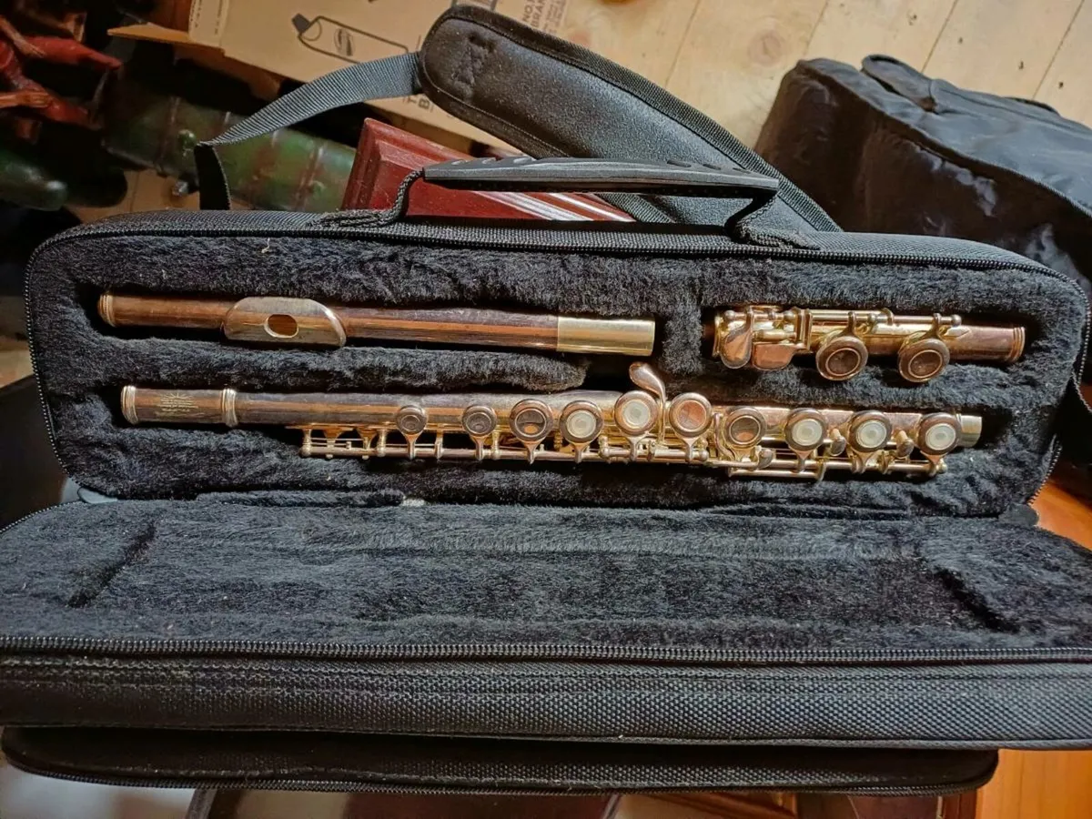 Vintage Stagg 77FFE Flute - Image 2