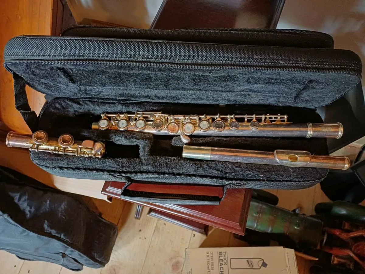 Vintage Stagg 77FFE Flute - Image 3
