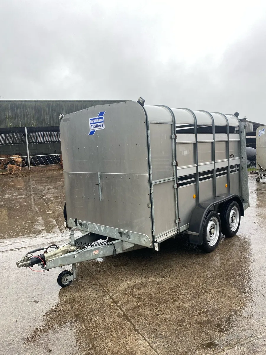 CJS Ifor Williams Livestock Trailer - Image 2