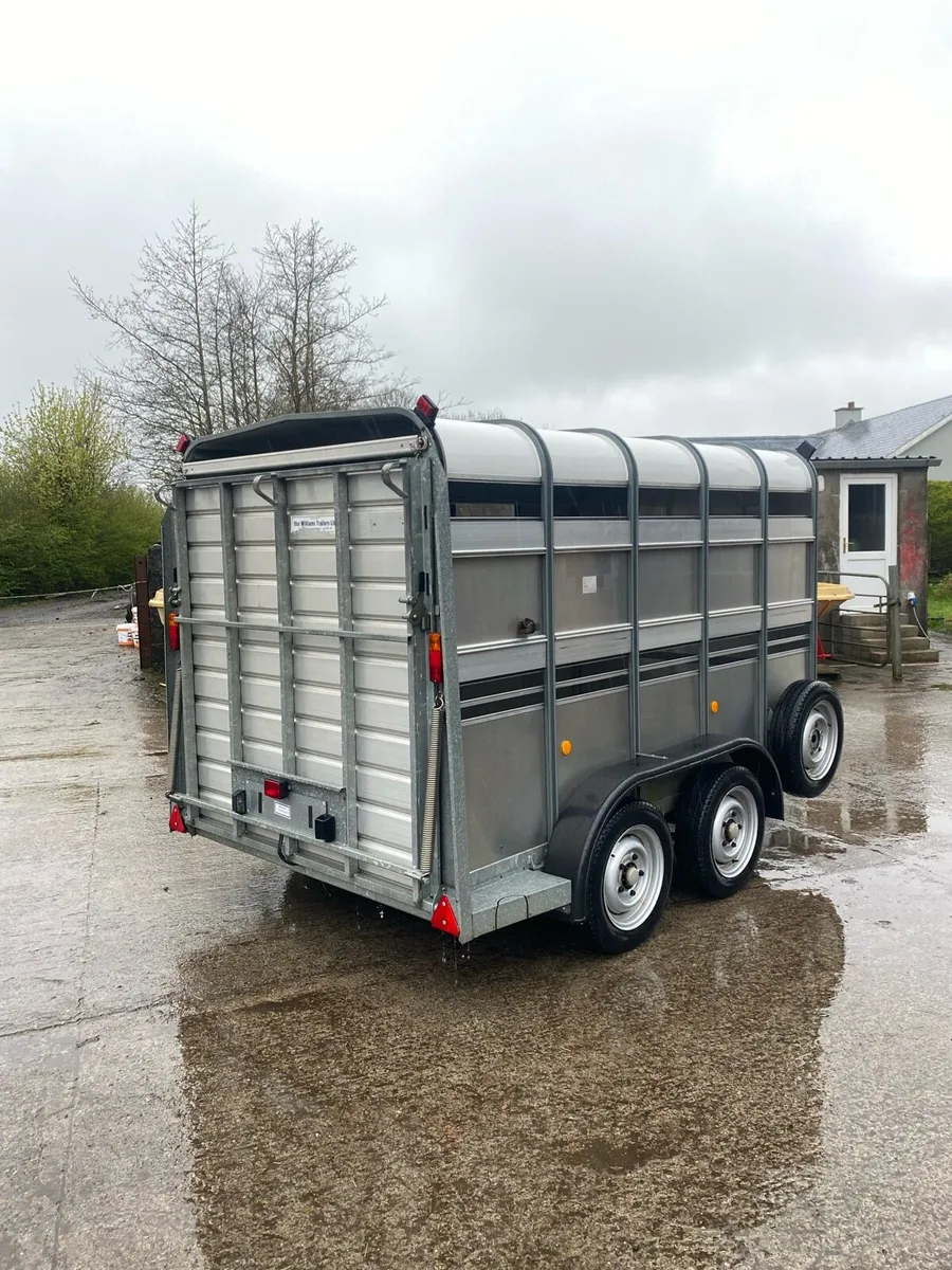 CJS Ifor Williams Livestock Trailer - Image 3