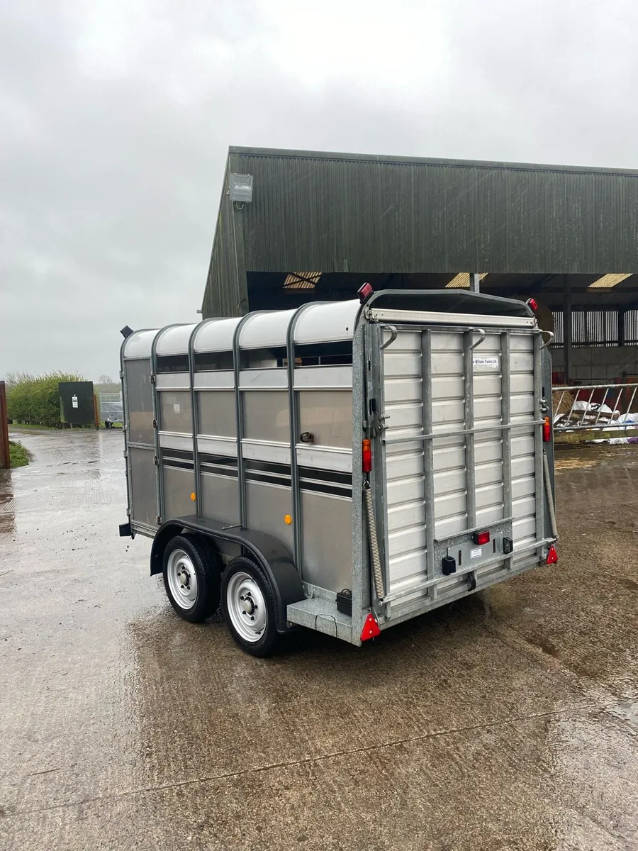 CJS Ifor Williams Livestock Trailer - Image 4