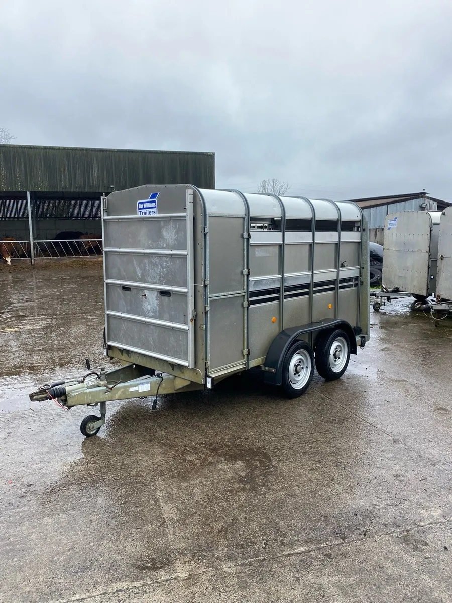 CJS Ifor Williams Livestock Trailer - Image 2