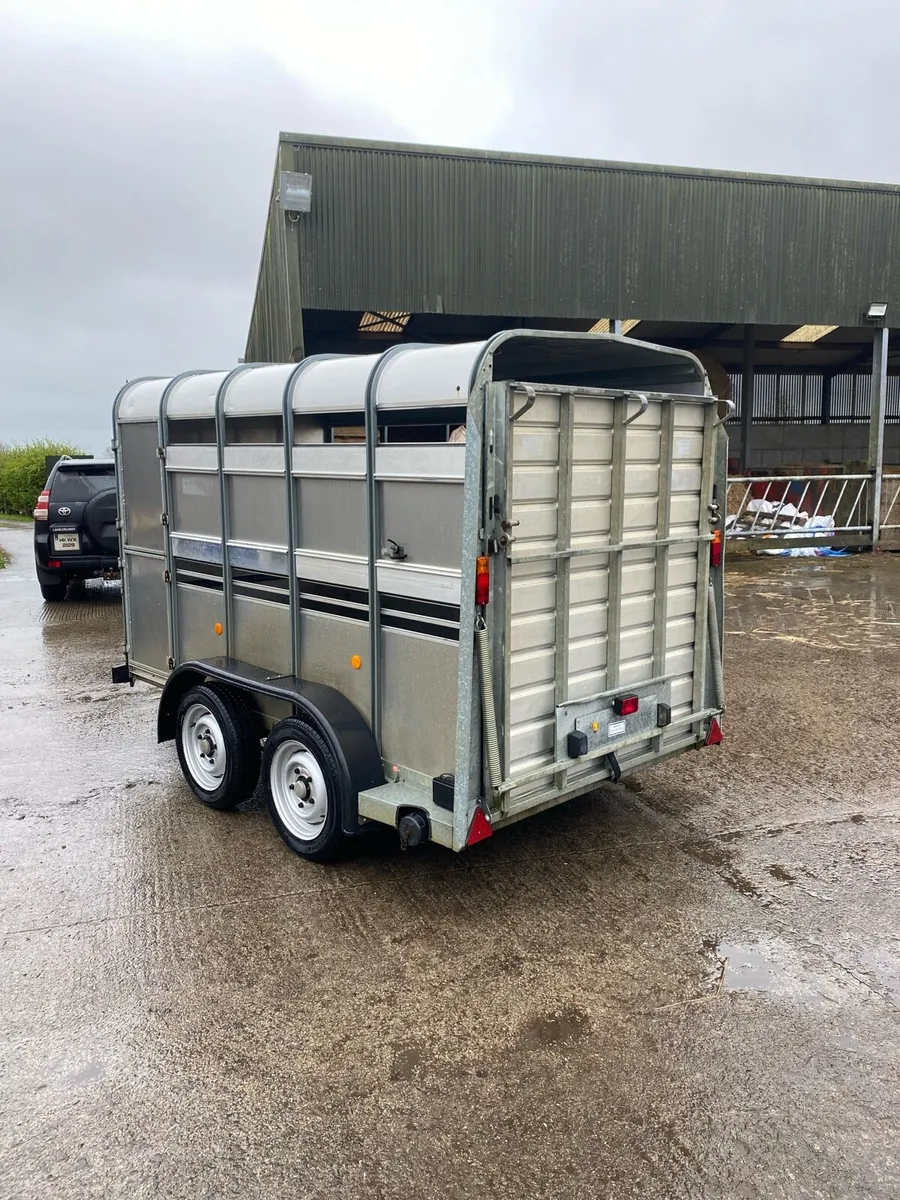 CJS Ifor Williams Livestock Trailer - Image 3