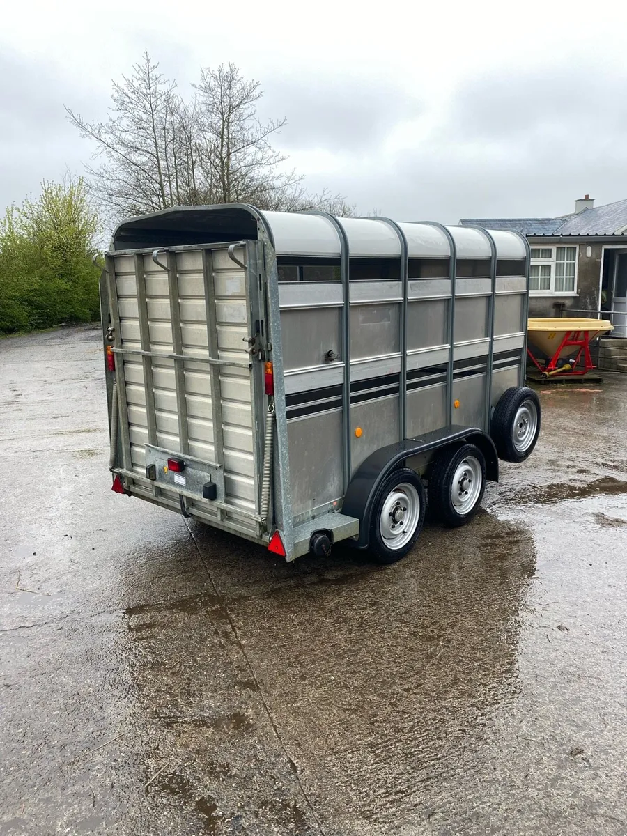 CJS Ifor Williams Livestock Trailer - Image 4