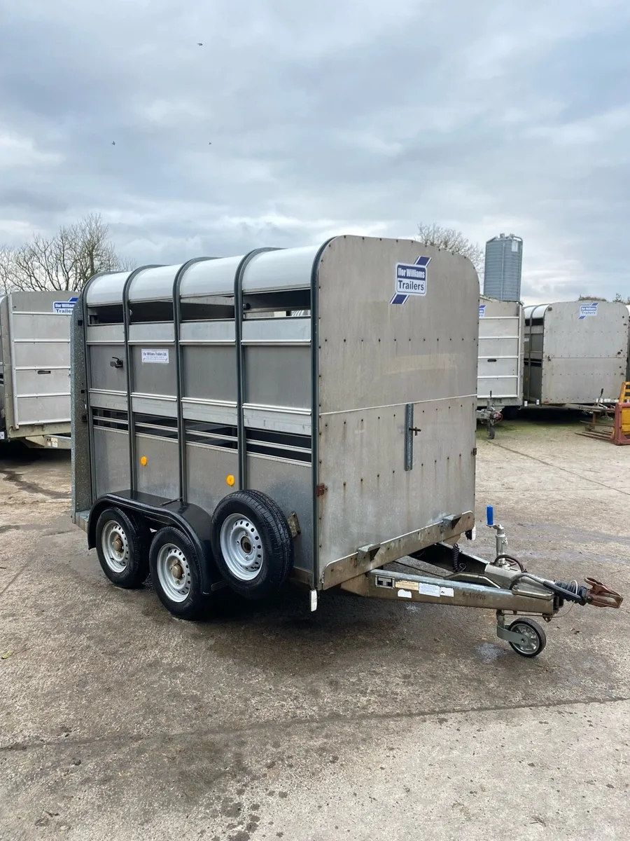 CJS Ifor Williams Livestock Trailer - Image 1