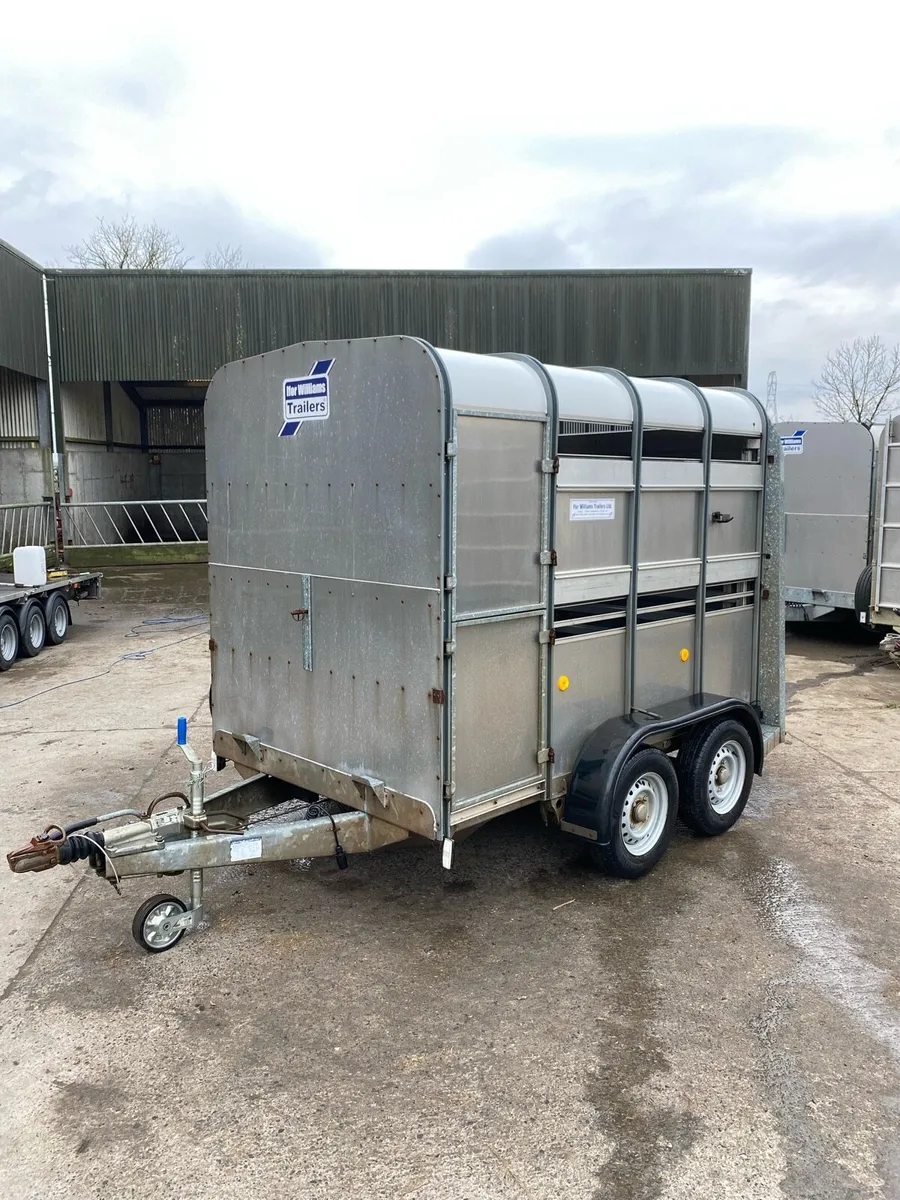 CJS Ifor Williams Livestock Trailer - Image 2