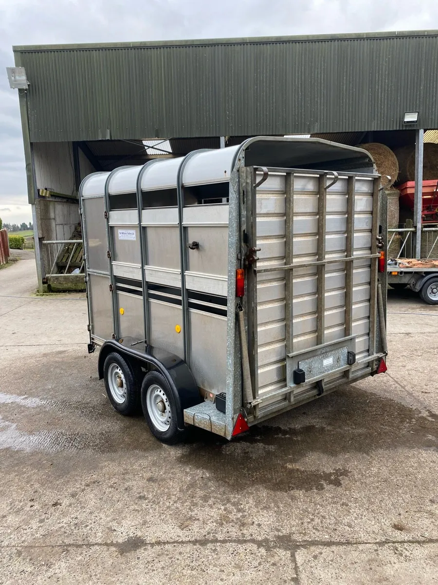 CJS Ifor Williams Livestock Trailer - Image 3