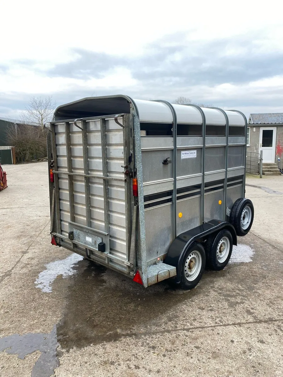 CJS Ifor Williams Livestock Trailer - Image 4