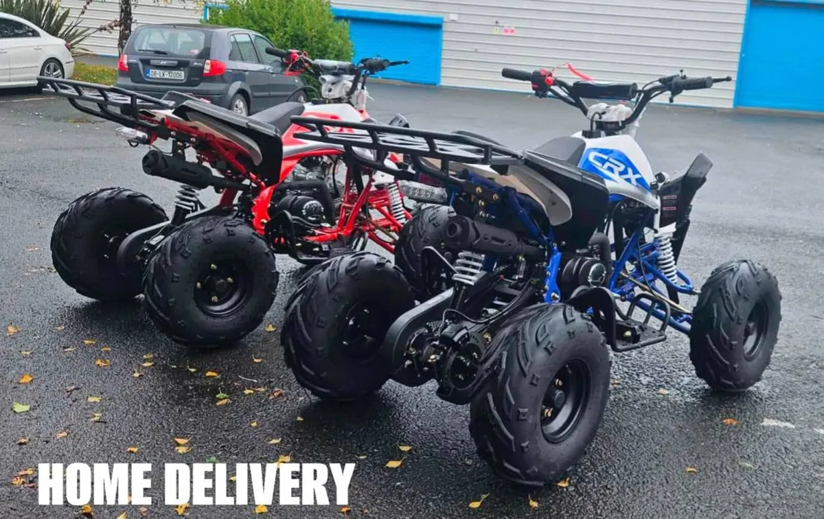 PANTHER 110 Quad FAMILYSIZE Xmas warranty delivery - Image 3