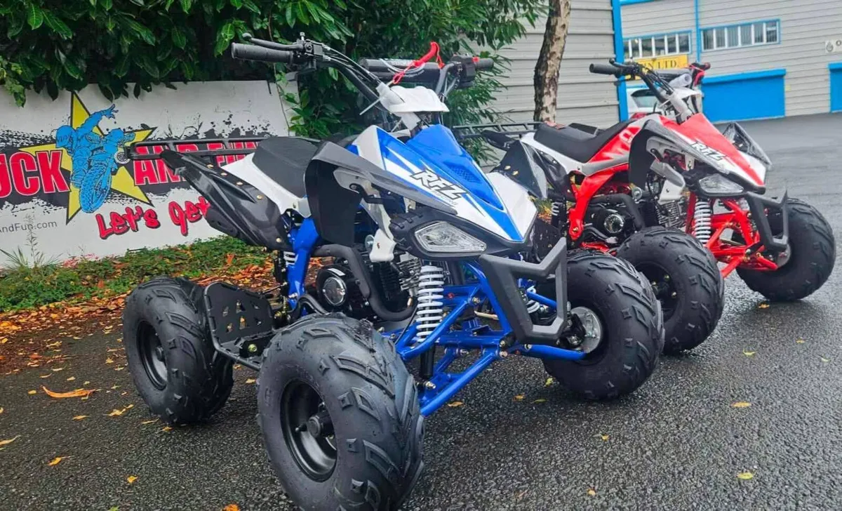 PANTHER 110 Quad FAMILYSIZE Xmas warranty delivery - Image 4