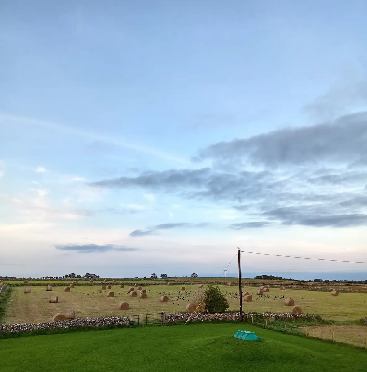 Round hay bales - Image 2
