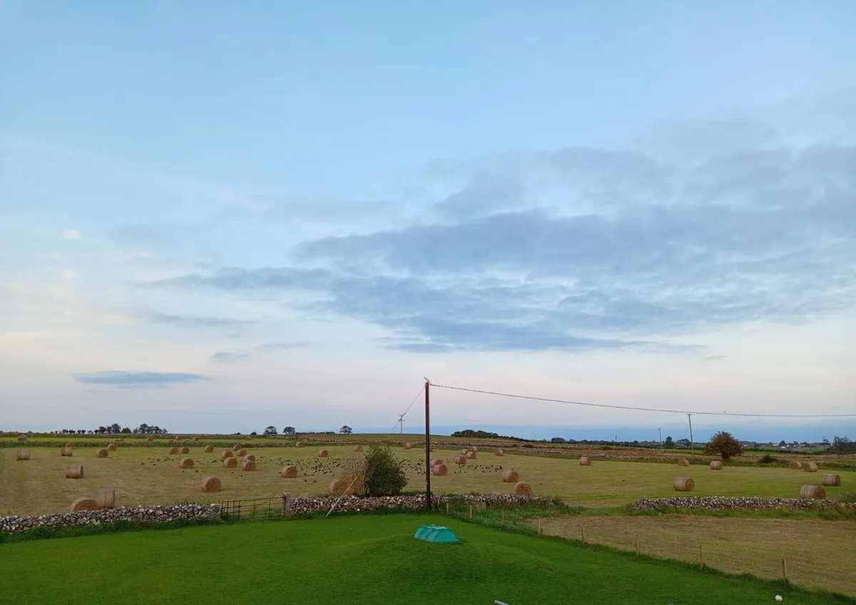 Round hay bales - Image 3