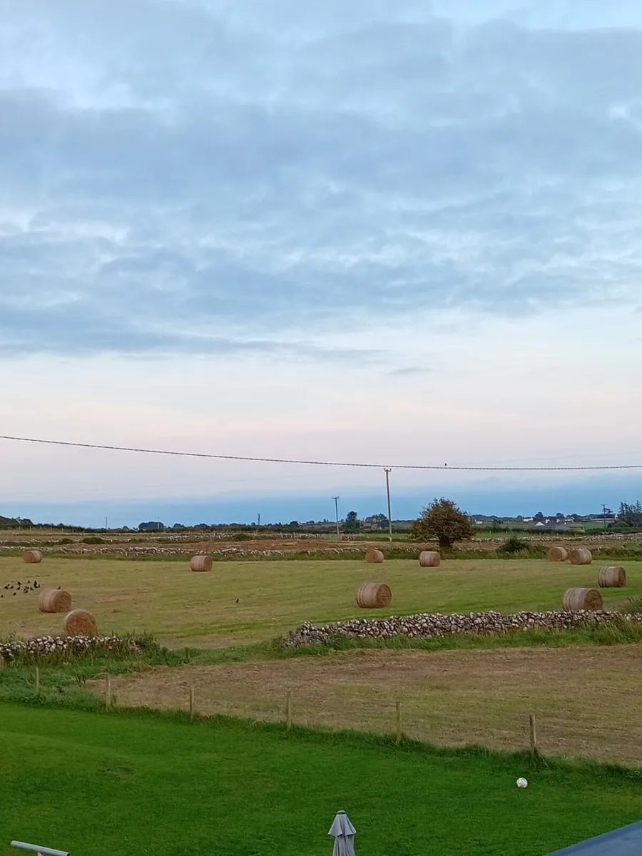 Round hay bales - Image 4
