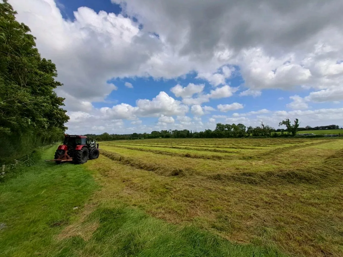 Silage & Haylage - Image 3