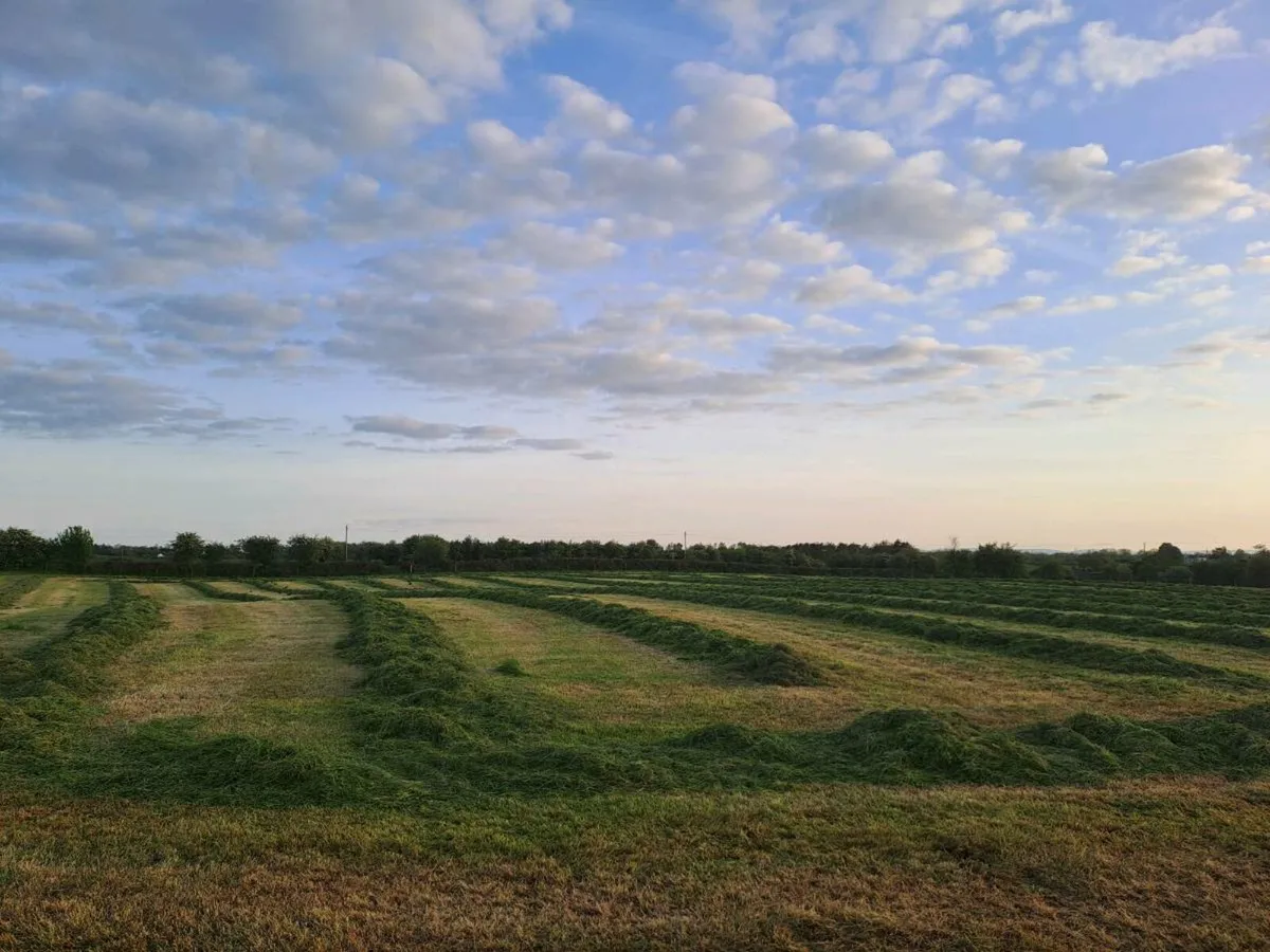 Silage & Haylage - Image 1