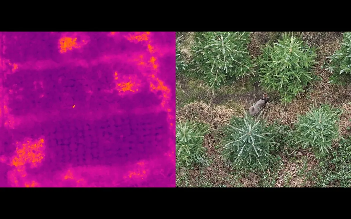 Deer Herd Analysis using Thermal Drone - Image 4