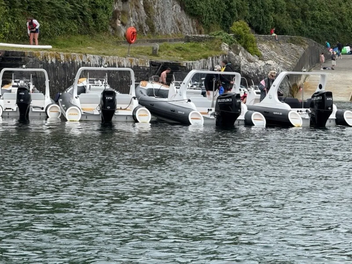 Neptune 6.6m with 175hp Engine - Image 3