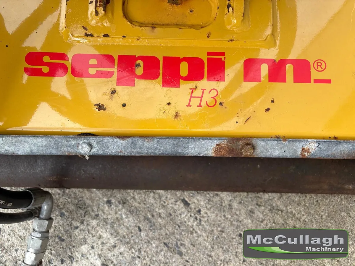 Used Seppi H3 105 1m Flail Head - Image 3