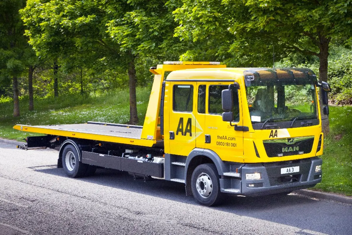 Roger Dyson  Recovery Bodies - Image 4