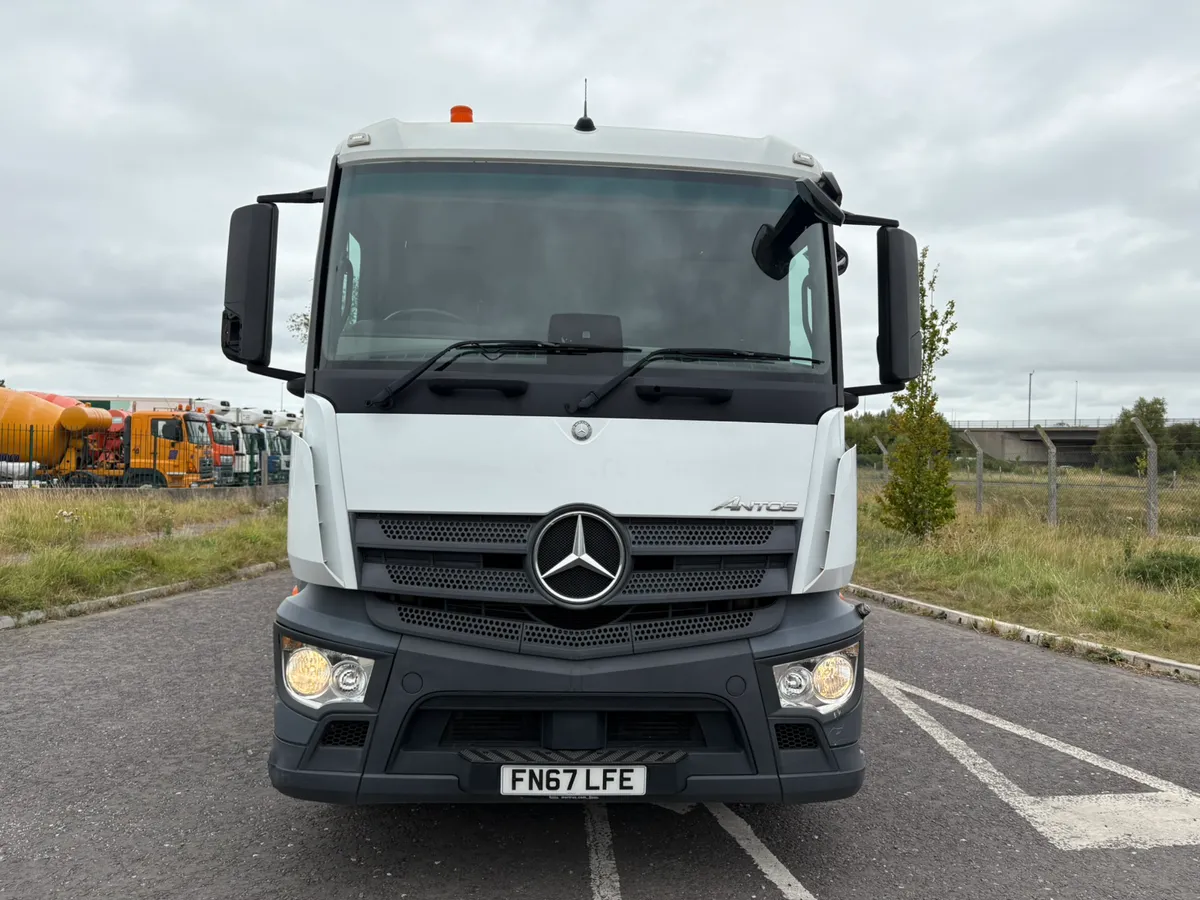 Mercedes Antos Beavertail - Image 2