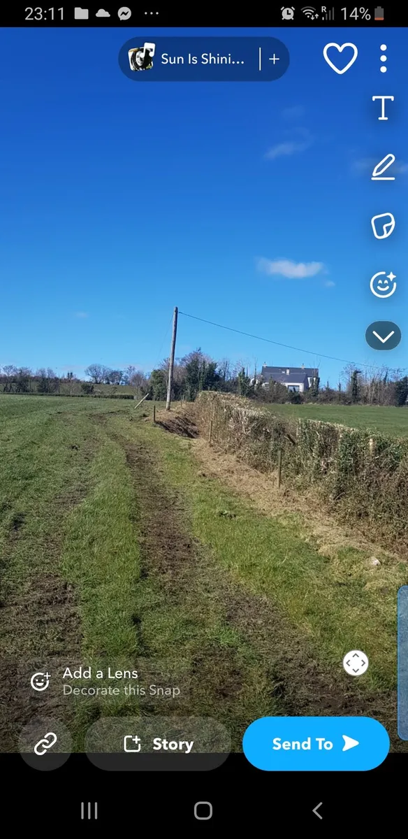 Digger Services - Mulching and Tree Shearing - Image 1