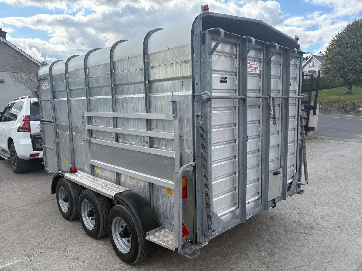 Hudson 12x6 Tri-Axle With Decks - Image 3