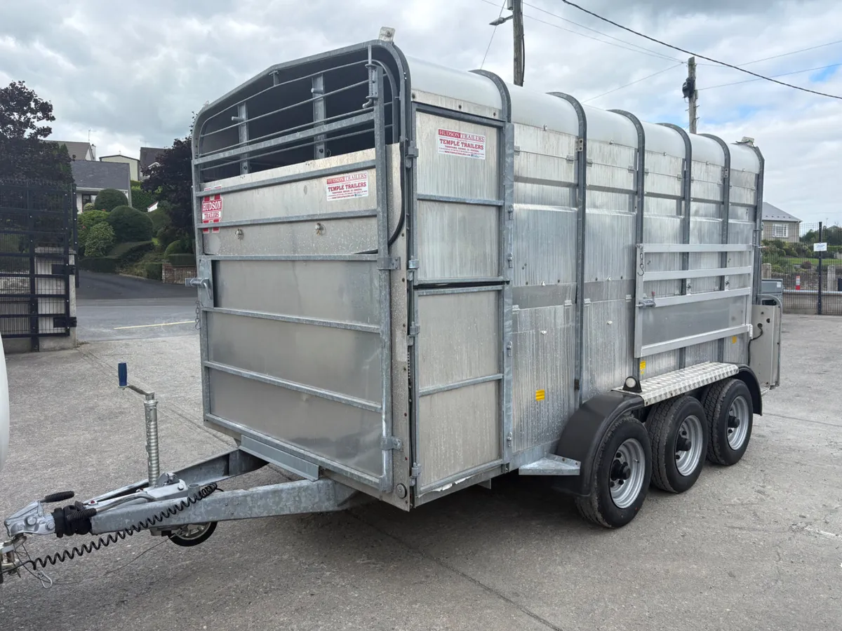 Hudson 12x6 Tri-Axle With Decks - Image 4