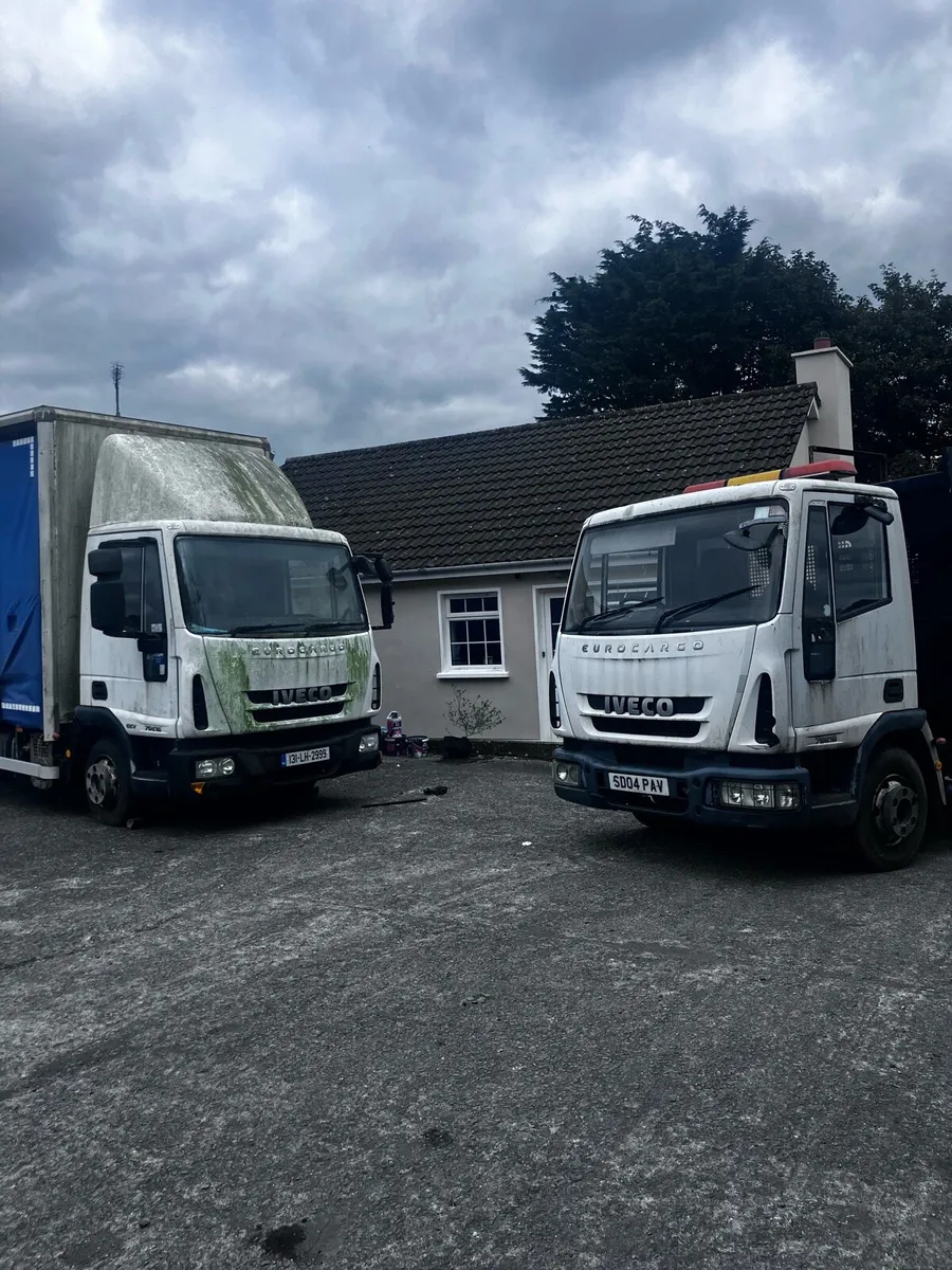 Breaking Daf lf Iveco - Image 1